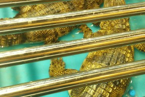 爱游戏体育下载-包含?I?桠?i1?挤]~/